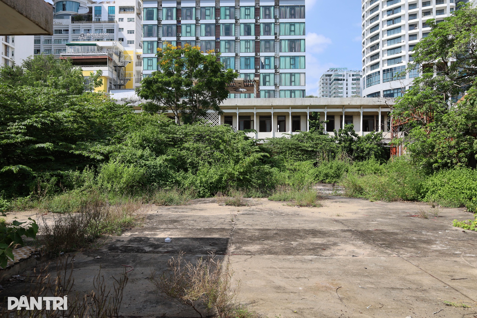 Khu đất kim cương bỏ hoang hơn 20 năm ở Nha Trang sắp được đấu giá - 8 Khu đất kim cương bỏ hoang hơn 20 năm ở Nha Trang sắp được đấu giá - 8