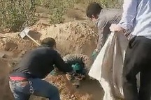 Người mẹ tàn tật sống sót thần kỳ sau 72 giờ bị con trai chôn sống