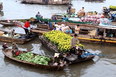 Tuần lễ Du lịch Xanh ĐBSCL kêu gọi đầu tư được 62 dự án