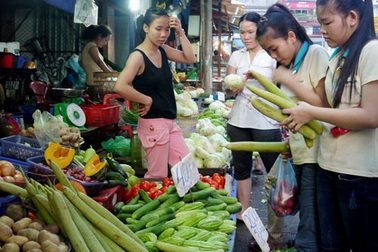 Bấp bênh lao động nhập cư 