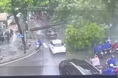 Khoảnh khắc cây xanh bật gốc đổ ra đường tại Hà Nội