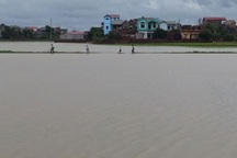 Bắc Giang mênh mông nước lũ