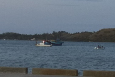 3 người Việt Nam bị tạm giữ tại New Zealand