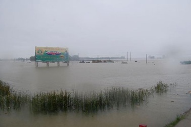 Hàng chục tỷ đồng trôi theo mưa lớn