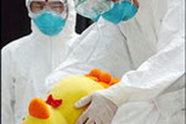 Mỹ sẽ đầu tư sản xuất vắcxin cúm tại Việt Nam