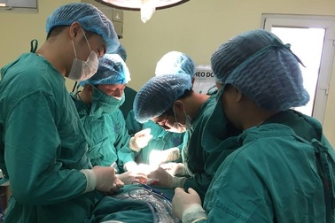 Ai dễ mắc ung thư thanh quản?