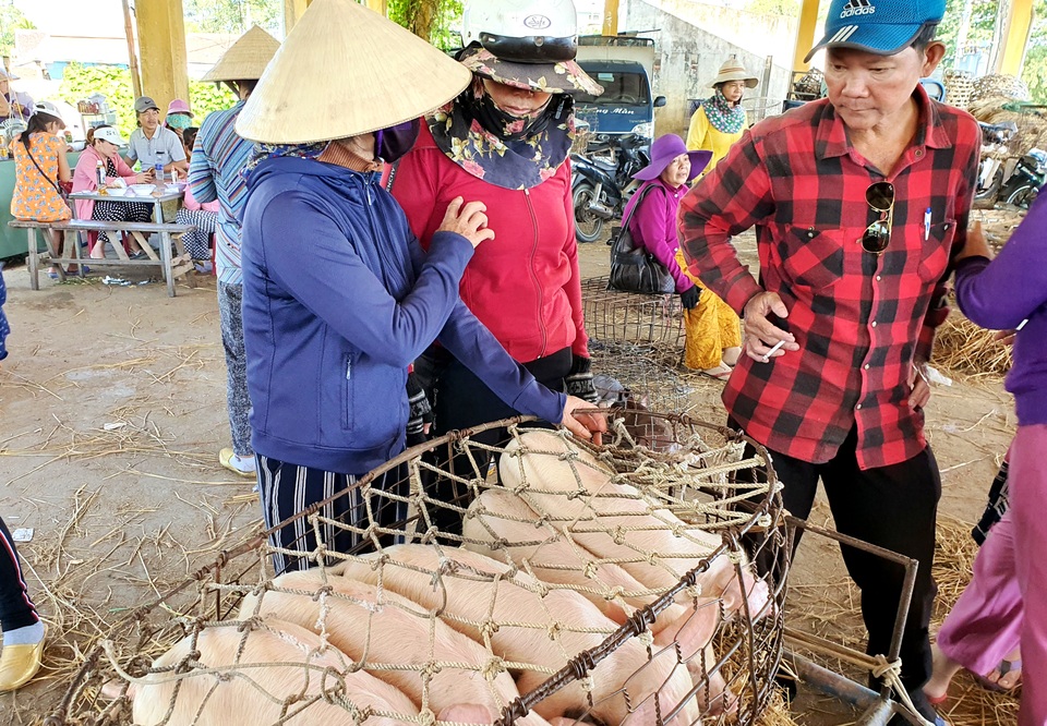 Ở Quảng Nam có nghề đặc biệt: Phụ nữ “bồng heo” - 3 Ở Quảng Nam có nghề đặc biệt: Phụ nữ “bồng heo” - 3