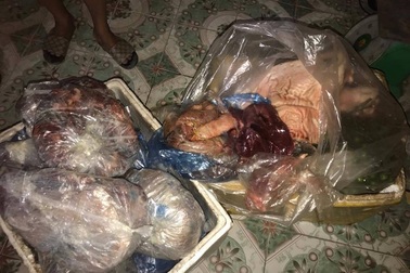 Hơn 2 tạ sản phẩm động vật không giấy tờ trên xe khách suýt qua mặt cơ quan chức năng