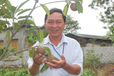 Cán bộ xã 10 năm chăm vợ ung thư vẫn “kiến tạo” khu vườn mẫu đẹp nhất tỉnh