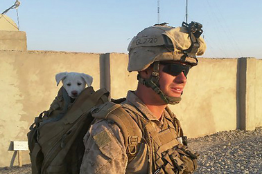 Cựu lính thủy đánh bộ xả súng khiến 12 người chết tại Mỹ