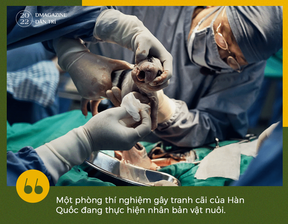 Phép màu cứu rỗi sinh vật bên bờ tuyệt chủng và tranh cãi của khoa học - 1 Phép màu cứu rỗi sinh vật bên bờ tuyệt chủng và tranh cãi của khoa học - 1