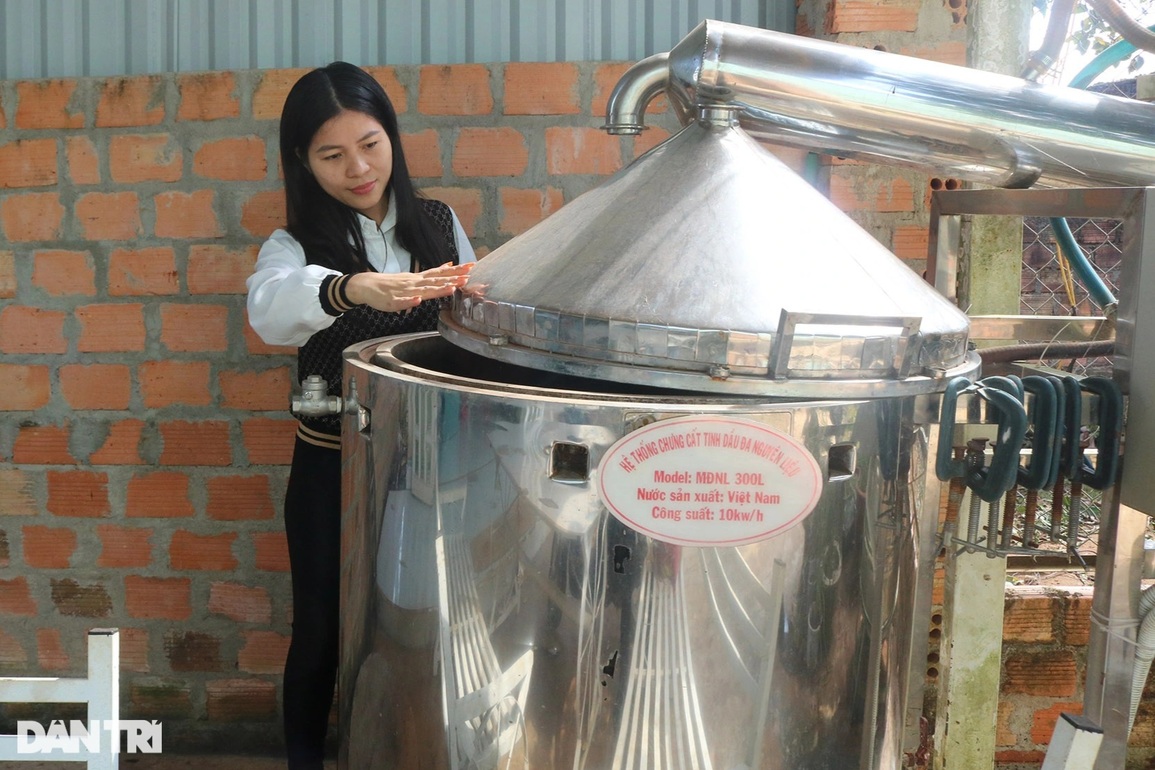 Chế tinh dầu quý từ cỏ dại, nữ giảng viên thu hàng trăm triệu đồng mỗi năm - 4 Chế tinh dầu quý từ cỏ dại, nữ giảng viên thu hàng trăm triệu đồng mỗi năm - 4