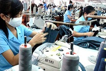 Lao động thuộc đối tượng nào được tham gia BHXH?