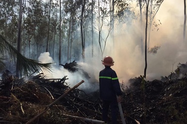 Khống chế đám cháy rừng không để lan sang khu mộ bà Hoàng Thị Loan