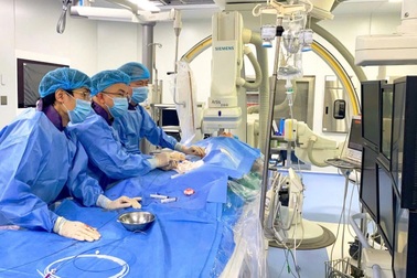 Giáo sư Việt Nam thúc đẩy hợp tác kiểm soát bệnh tim mạch tại ASEAN