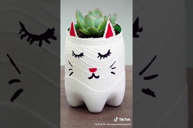 Chần chừ gì mà không sống xanh cùng TikTok nào?