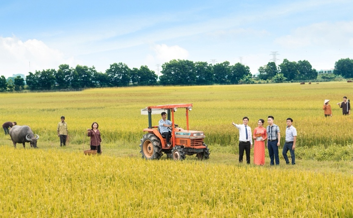 Săn tệp khách hàng riêng biệt, LienVietPostBank tăng tốc số hóa, chạy đua bán lẻ - 1 Săn tệp khách hàng riêng biệt, LienVietPostBank tăng tốc số hóa, chạy đua bán lẻ - 1