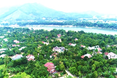 Khám phá "hoa quả sơn" độc đáo ở Quảng Nam