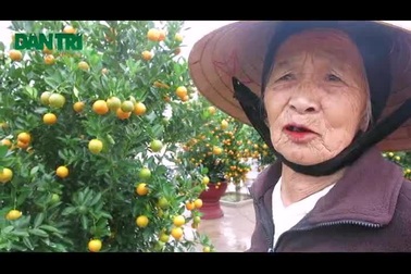 Ngày hội quật cảnh Hội An 2016