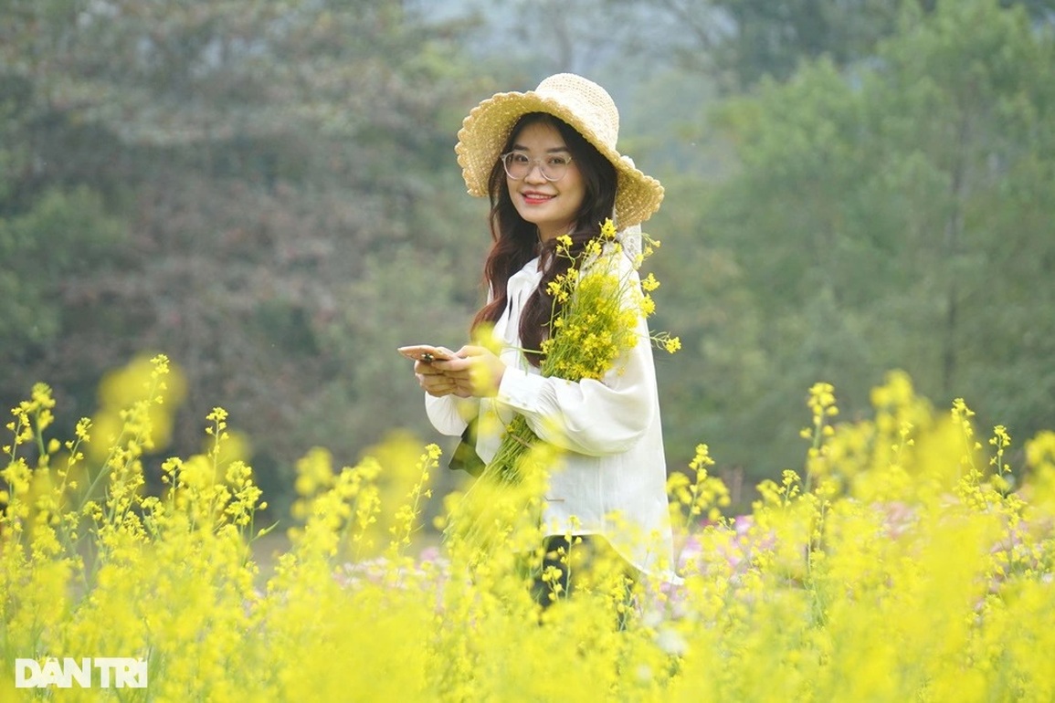 Cán bộ công an về hưu kiếm tiền triệu mỗi ngày từ cánh đồng hoa ven sông - 4 Cán bộ công an về hưu kiếm tiền triệu mỗi ngày từ cánh đồng hoa ven sông - 4