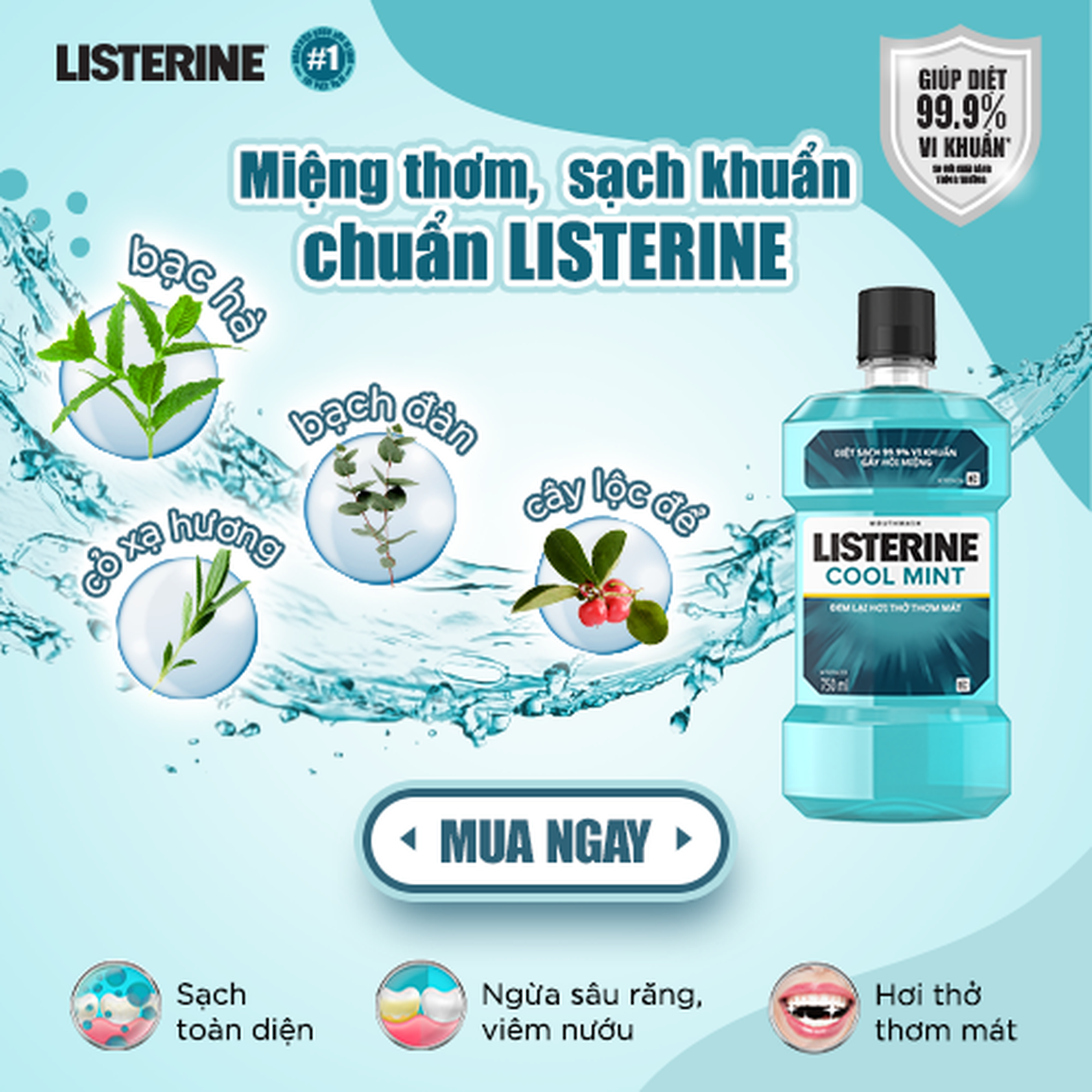 Bạn đã biết 4 loại tinh dầu đặc biệt này chưa? - 3