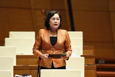 Thống đốc đề xuất đa dạng nguồn vốn, hỗ trợ mục tiêu tăng trưởng kinh tế 8%