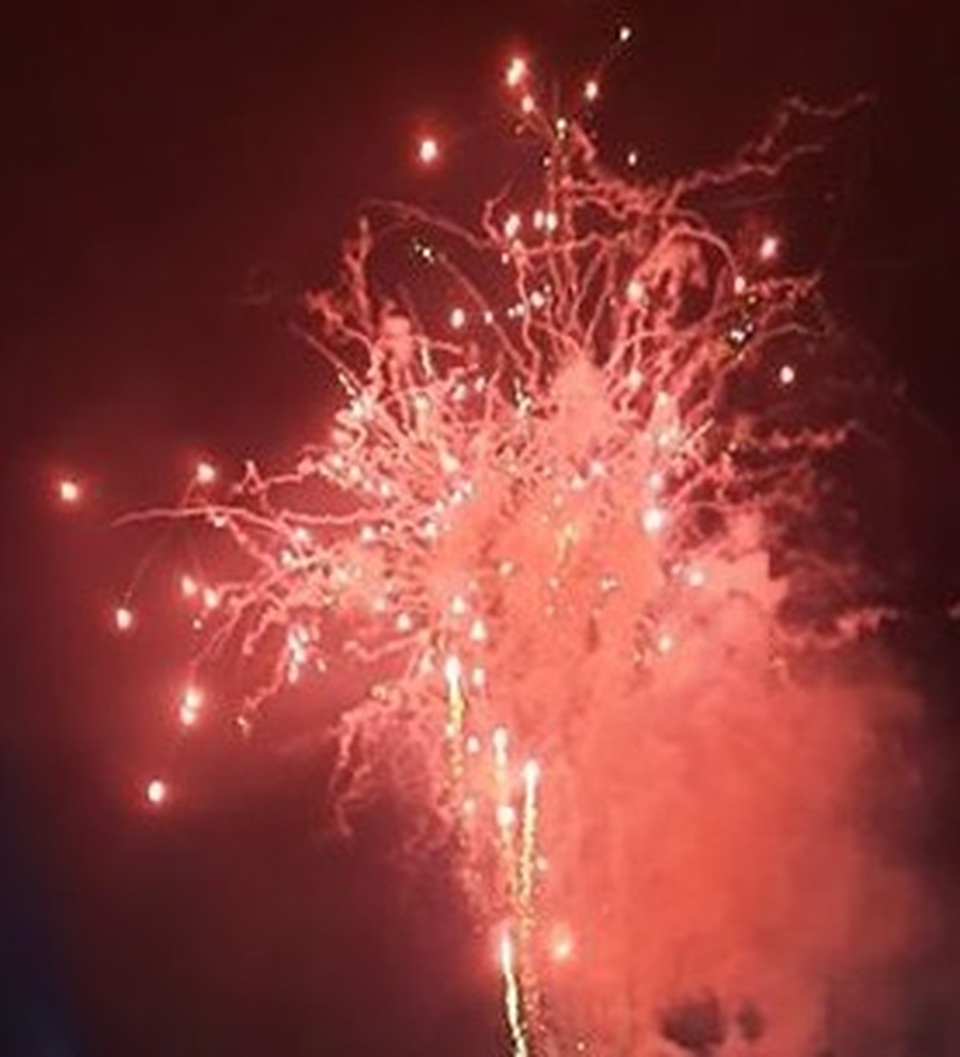 Hân hoan chào đón năm Canh Tý 2020 - 41