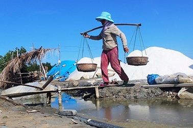 Một tạ muối đổi được...…2 tô bún!