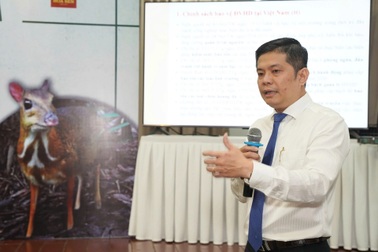 Cần xử lý hình sự các hành vi săn bắt động vật hoang dã