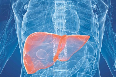 Cần lưu ý điều gì sau sinh thiết gan