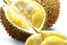 Đàn ông ăn sầu riêng như uống viagra khi "lâm trận"