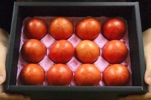 Cà chua Hoàng gia Nhật 1,6 triệu đồng/kg: Đắt nhất thế giới, dân Việt cháy hàng