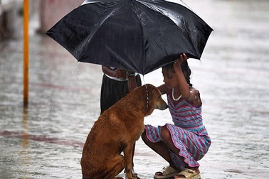 Những hình ảnh cảm động của con trẻ khiến người lớn phải suy ngẫm