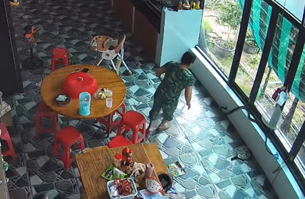 Tình huống xử lý khó ngờ của người phụ nữ khi thấy rắn lớn vào nhà