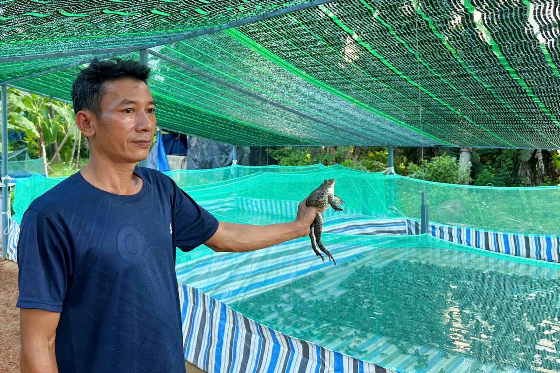 Ngư dân quyết định bỏ biển về bờ, thu nhập hàng trăm triệu đồng từ nghề mới - 1