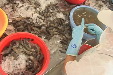 TPHCM: Hơn 40.000 lao động mất, thiếu việc làm