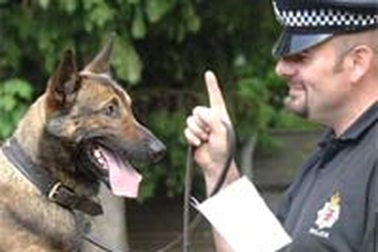 Cảnh sát học tiếng nước ngoài… để nói chuyện với chó
