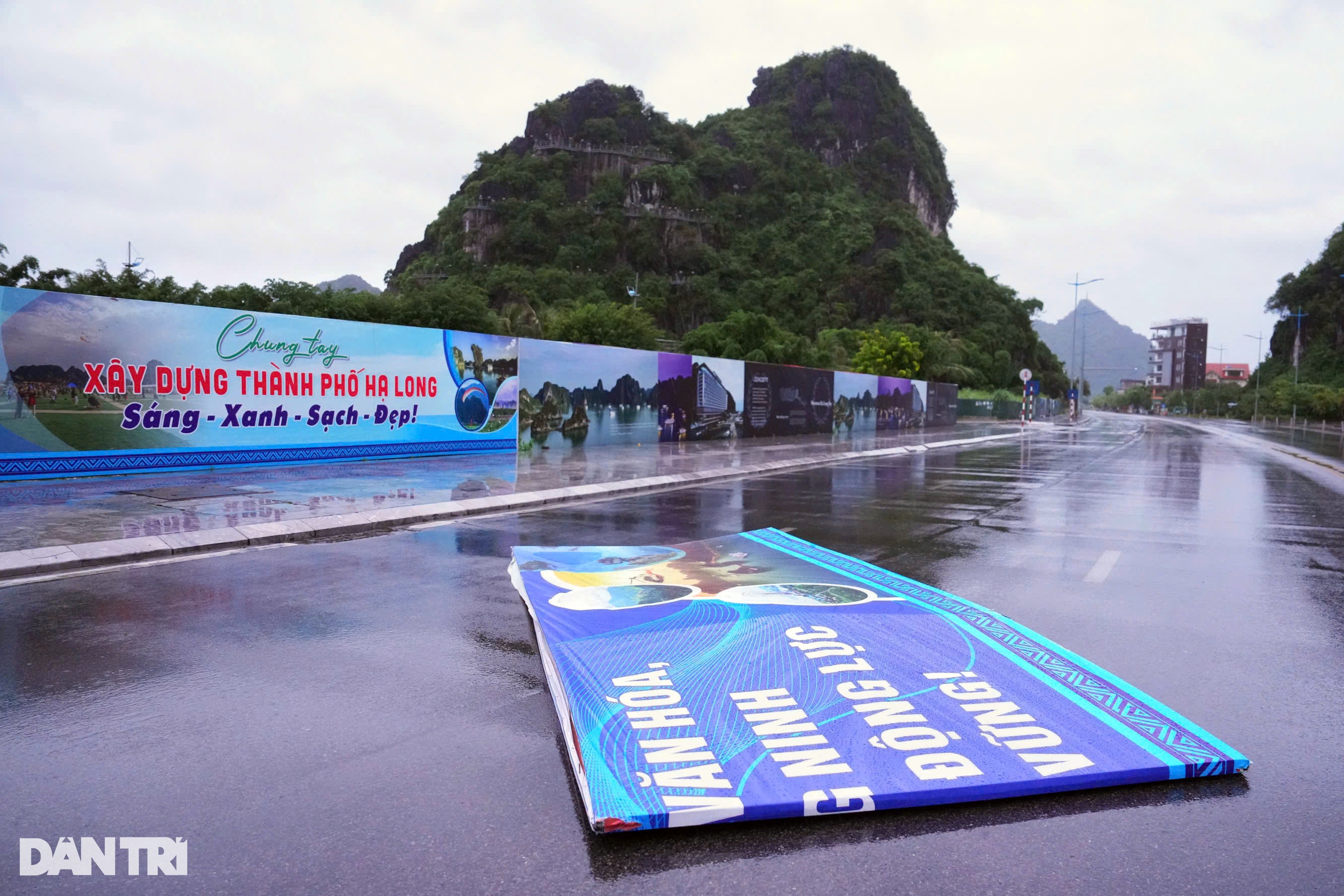 View - Trước giờ bão Yagi đổ bộ Quảng Ninh: Cây xanh gẫy đổ, tôn bay la liệt | Báo Dân trí