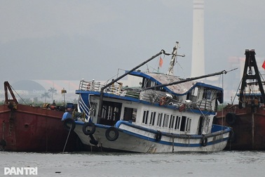 Hồ sơ 2 công ty xin lỗi vì bắn pháo hoa giữa lúc tìm kiếm nạn nhân lật tàu