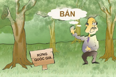 Xin đừng đổ lỗi cho dân