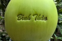 300 ngàn đồng/quả dừa khắc chữ “Tài, Lộc” chưng Tết