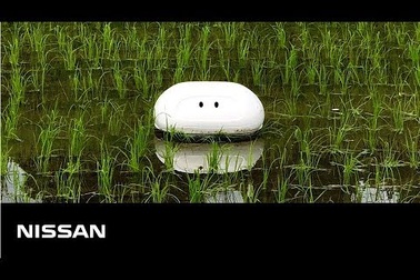 Người Nhật sáng chế robot "vịt", tạo cuộc cách mạng trong ngành công nghiệp lúa nước