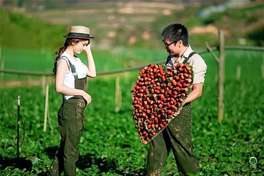 5 điểm đến mùa Valentine 2016