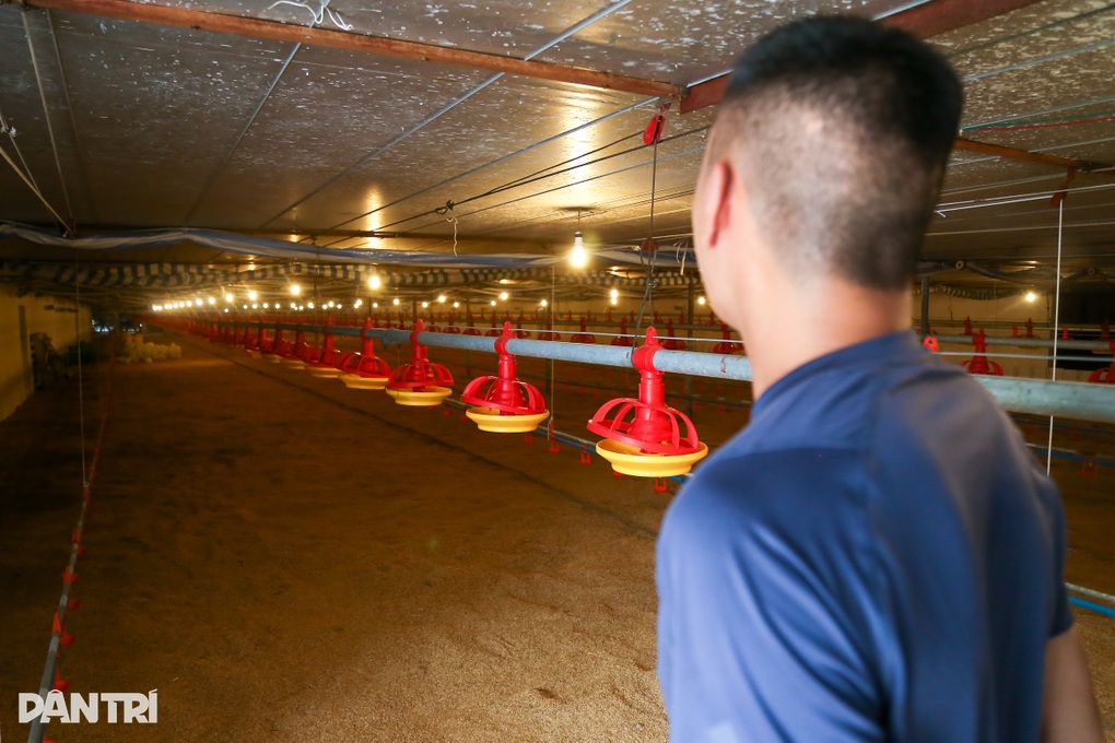 Mất điện, ông chủ không dám chạy máy phát cho nhà, chỉ dành quạt mát cho gà - 2 Mất điện, ông chủ không dám chạy máy phát cho nhà, chỉ dành quạt mát cho gà - 2