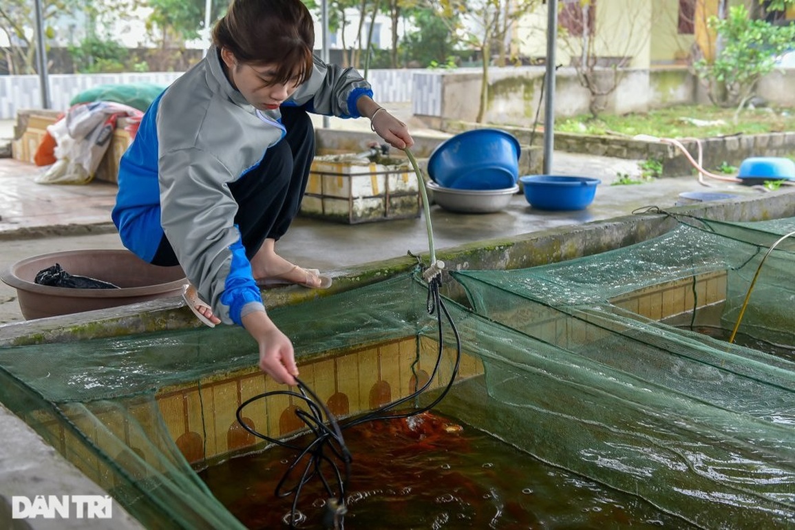 Thu trăm triệu đồng nhờ bán Thu trăm triệu đồng nhờ bán