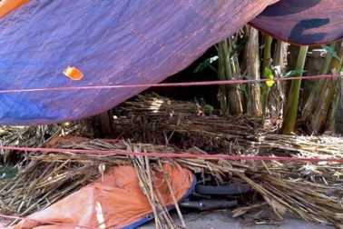 Khởi tố kẻ dùng dao đoạt mạng anh họ, cứa đứt cổ một phụ nữ khác