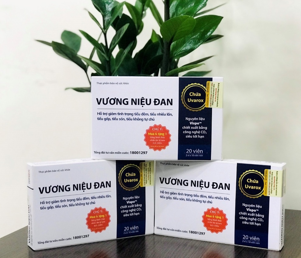 Cọ lùn - giải pháp cho người bị tiểu đêm, tiểu són, tiểu nhiều lần - 5 Cọ lùn - giải pháp cho người bị tiểu đêm, tiểu són, tiểu nhiều lần - 5