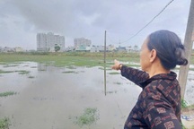 Nông dân bỏ ruộng hoang vì dự án thi công chặn mương thoát nước