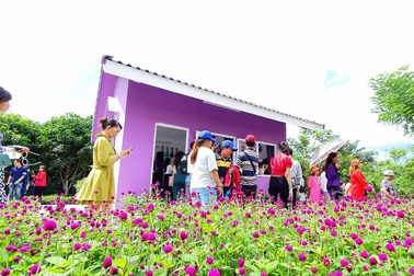 Căn nhà màu tím độc nhất miền Tây