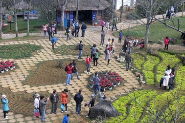 Giới trẻ đua nhau lên Sa Pa nhân ngày lễ Tình yêu